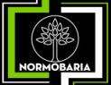 komora normobaryczna